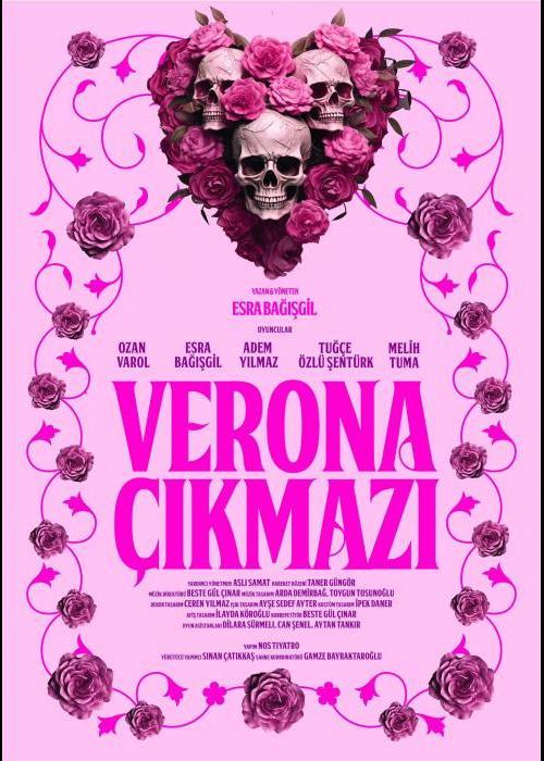 VERONA ÇIKMAZI